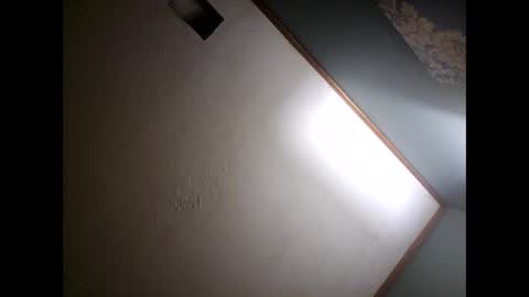 Snapshot of ambularalertisback chatting on January 20, 11:32 pm One Youre Looking For online show from January 20, 11:32 pm