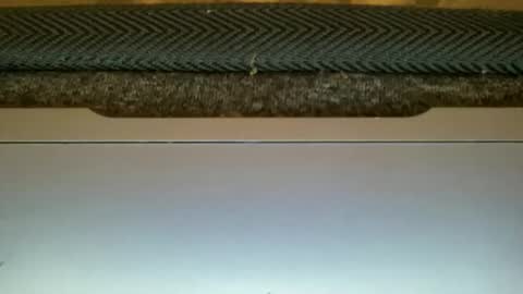 23cm4you online show from February 11, 10:59 pm