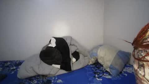 shantel online show from November 14, 7:29 am