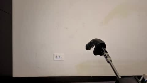 Anabel Alice Gandara online show from May 17, 5:31 pm