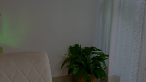 anabelcurvy online show from May 13, 6:38 pm