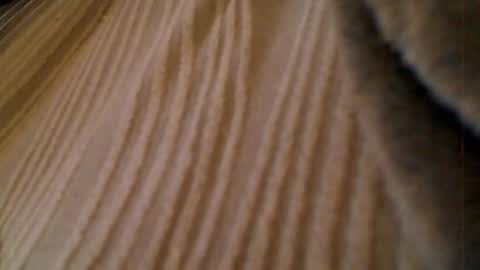 Snapshot of anaiserebel chatting on January 15, 7:02 am anaiserebel online show from January 15, 7:02 am