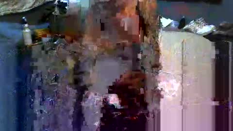 Snapshot of analwhore666 chatting on February 16, 6:10 pm kinkylilanalslut online show from February 16, 6:10 pm