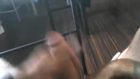 Snapshot of andelu13 chatting on October 5, 12:58 pm andelu13 online show from October 5, 12:58 pm
