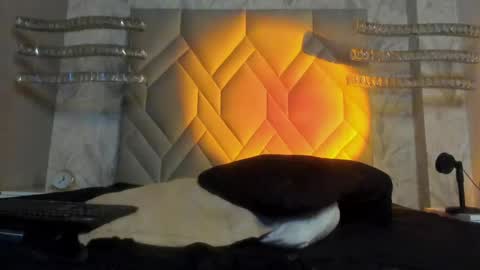 Snapshot of andypalmer_ chatting on January 5, 9:48 am andy palmer online show from January 5, 9:48 am