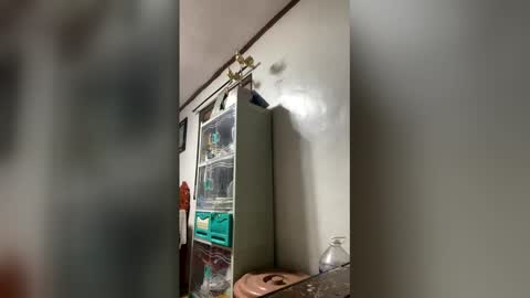 ange011 online show from March 23, 6:06 am