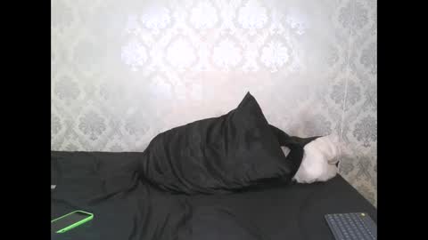 Snapshot of angel_lein chatting on February 11, 7:59 pm Angel Lein online show from February 11, 7:59 pm