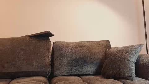 Snapshot of angelinepossy chatting on February 16, 10:50 pm angelinepossy online show from February 16, 10:50 pm