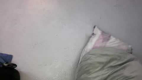 Animeboygirls online show from November 6, 2:23 am