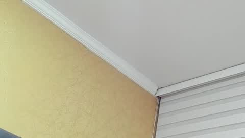       online show from March 31, 12:45 am