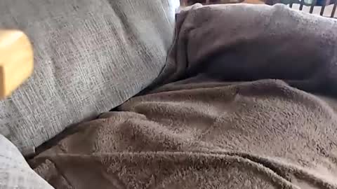 Snapshot of anonisme_54 chatting on November 20, 4:18 pm jay online show from November 20, 4:18 pm