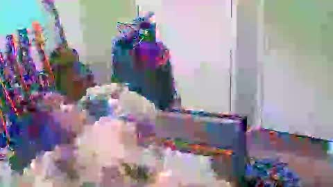 anssyboy696 online show from October 11, 5:22 pm