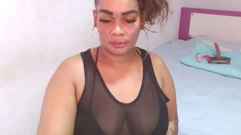 catan online show from February 10, 2:10 pm