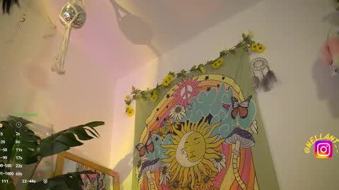 Nell. online show from November 9, 3:49 am