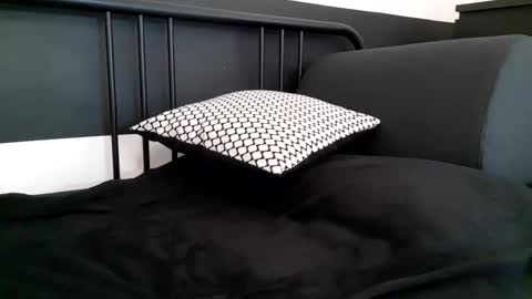 apollobest77 online show from February 10, 2:43 pm