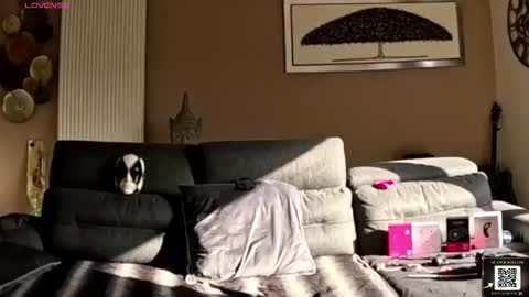 apollonfitx_69 online show from February 1, 1:53 pm