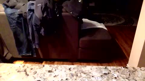 Snapshot of arabiandream21 chatting on January 16, 10:19 am Knowledgeiskeyy online show from January 16, 10:19 am