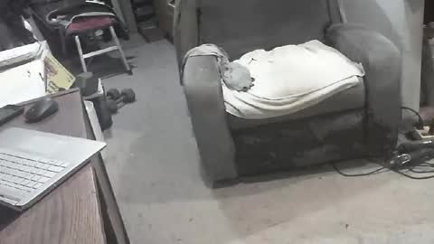 Snapshot of arealshowoff chatting on March 22, 12:08 pm arealshowoff online show from March 22, 12:08 pm