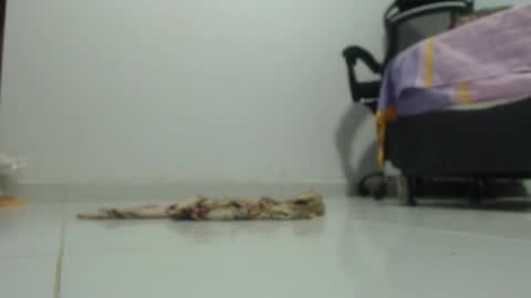 Snapshot of ariadna_6 chatting on January 29, 6:18 pm ...Ariana... online show from January 29, 6:18 pm