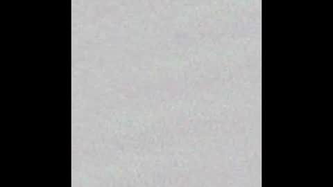 Arianna Collins online show from November 5, 11:21 am