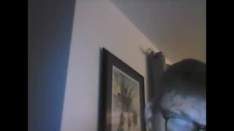 Snapshot of ariens chatting on January 14, 6:45 am ariens online show from January 14, 6:45 am