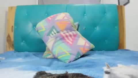 armanidark online show from September 15, 2:11 am