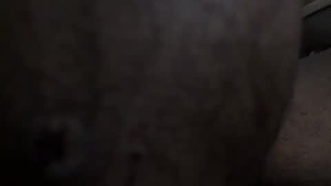 Arteblazze not daddy boy bitch or nigga online show from February 25, 2:37 pm