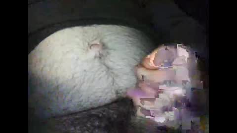 Snapshot of artur072 chatting on January 12, 5:03 am rocco online show from January 12, 5:03 am