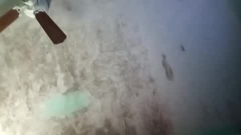 the chosen one online show from November 12, 3:23 pm