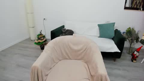 Arya online show from December 17, 5:02 am