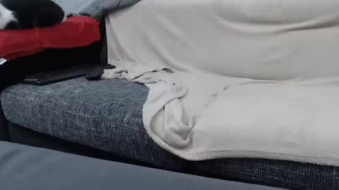 Snapshot of asshunnter chatting on January 16, 6:59 pm MARCO online show from January 16, 6:59 pm