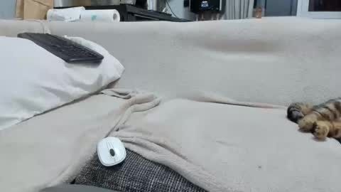 Snapshot of asshunnter chatting on December 2, 4:57 pm MARCO online show from December 2, 4:57 pm