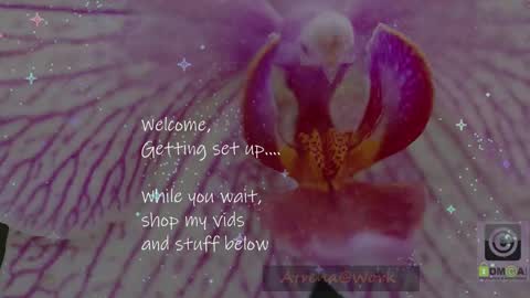 Atrena online show from January 14, 12:16 am