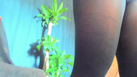 Audry online show from February 14, 1:52 pm