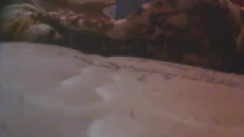 love spouse 768785628 online show from May 18, 1:24 am
