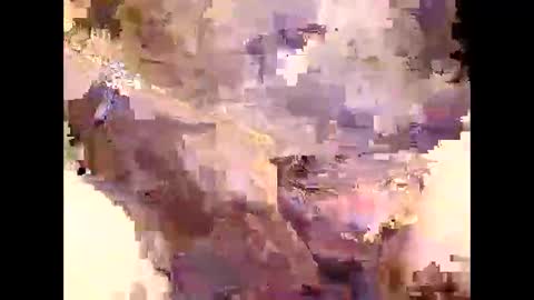 aushsi25 online show from December 16, 1:49 pm