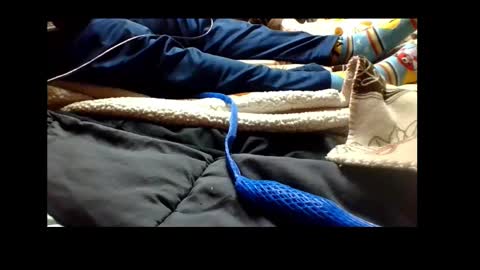 Snapshot of automaticmechanic chatting on December 4, 4:38 pm Senior Agua online show from December 4, 4:38 pm