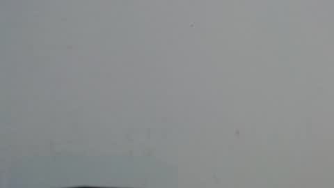 avanahomi online show from October 20, 11:21 am