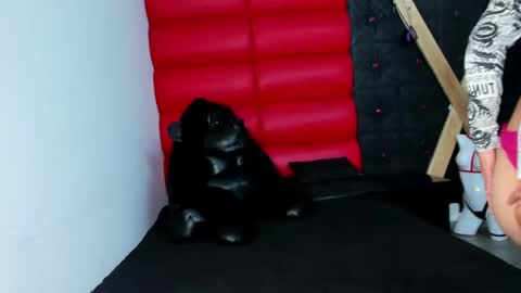 avi_thomsonn online show from March 13, 3:13 am