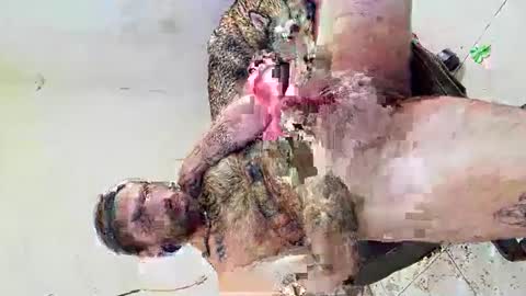 deliciosodemente online show from March 4, 12:38 am