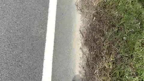 AylaTy online show from March 15, 8:15 pm