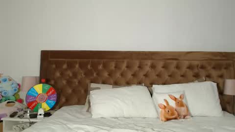 Snapshot of aylinhoney chatting on December 31, 4:16 am Aylin online show from December 31, 4:16 am