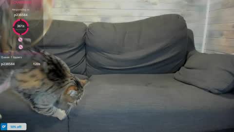 Snapshot of azalea_love chatting on April 16, 1:23 pm Maribel Bel online show from April 16, 1:23 pm