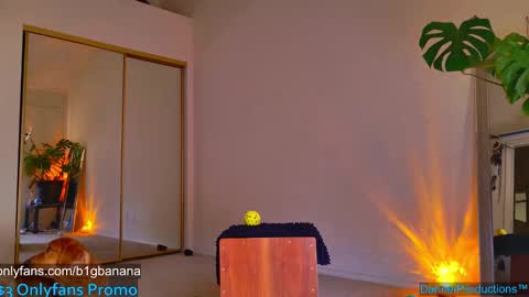 Snapshot of b1gbanana chatting on January 24, 10:51 pm b1gbanana online show from January 24, 10:51 pm