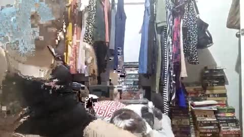 Snapshot of babe4u1234 chatting on December 3, 11:33 am babe4u1234 online show from December 3, 11:33 am