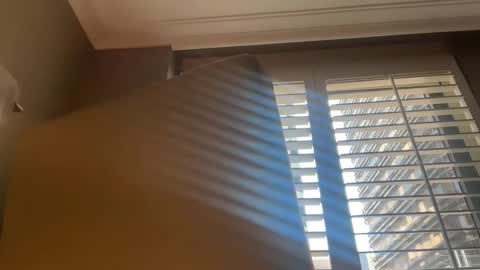 bcin online show from September 21, 2:57 am