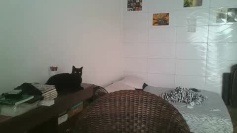 babydemon6 online show from November 14, 6:50 pm