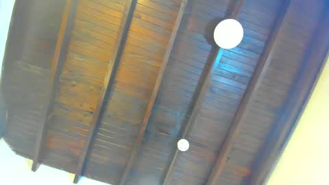 babylattin online show from February 10, 3:21 am