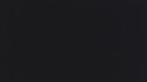 backchat14 online show from November 1, 5:48 pm