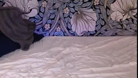 Ava online show from September 30, 1:21 am